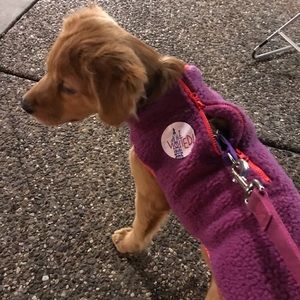 Meet your Posher, Jeff